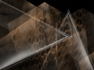 房产使用技巧：房产保险购买指南